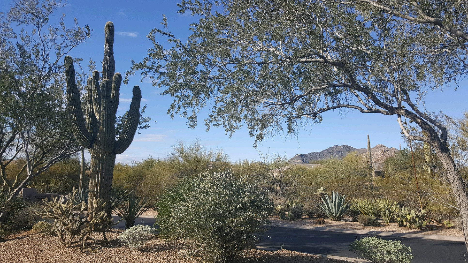 Scottsdale, Arizona scenic view